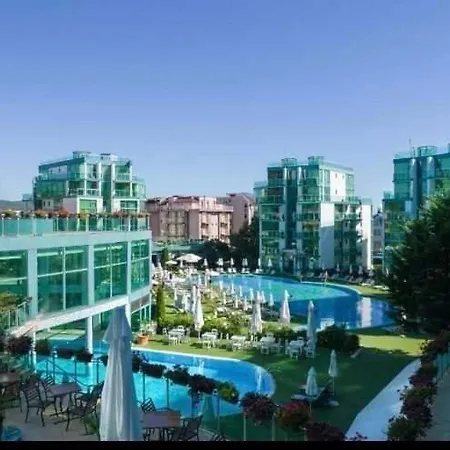 Sunny Cozy * 프리모르스코